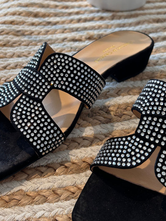 Cantini Cibatta Strass Nera