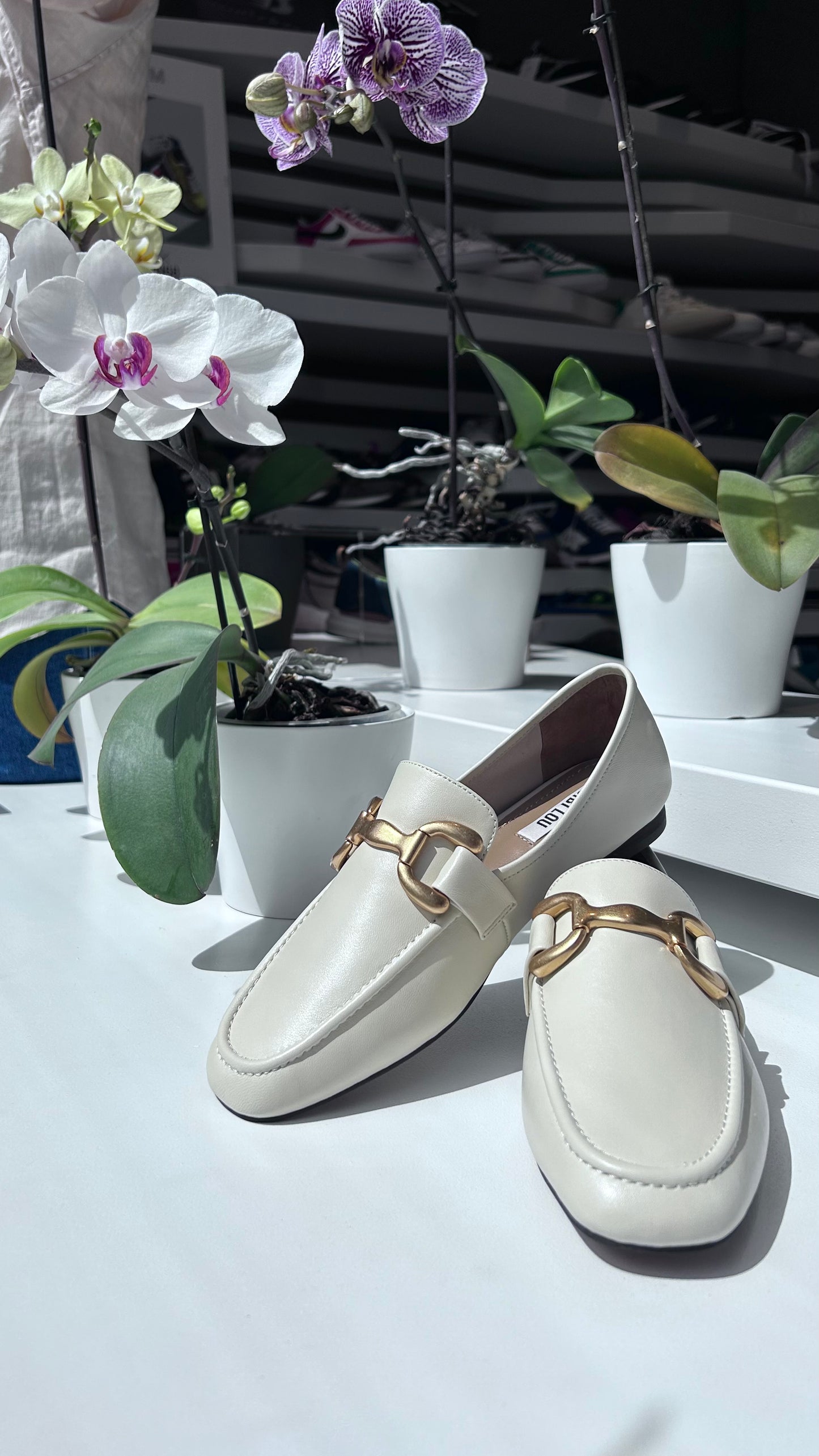 Bibi Lou Mocassino Off White 571Z10